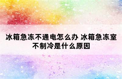 冰箱急冻不通电怎么办 冰箱急冻室不制冷是什么原因